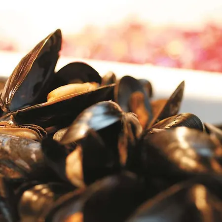 호텔 래디슨 블루 로열 호텔, 4*