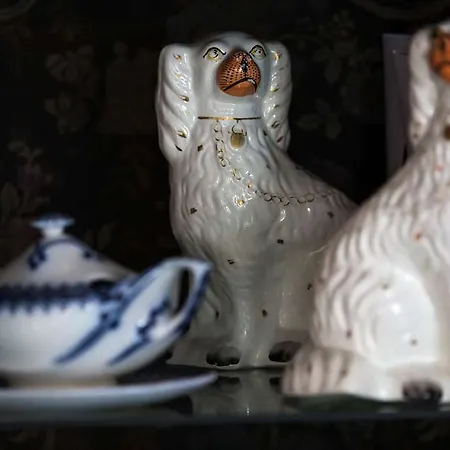 راديسون بلو رويال بروكسل فندق برغن